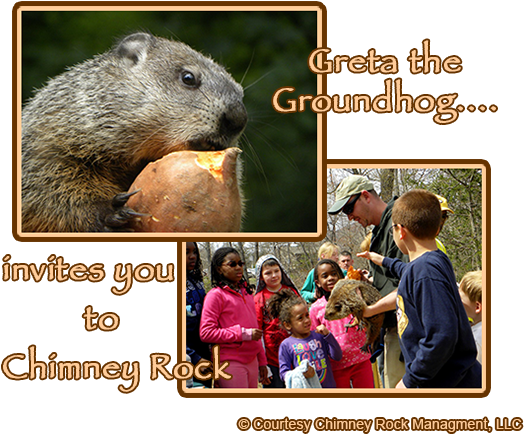 Greta The Groundhog At Chimney Rock - Punxsutawney Phil (550x447), Png Download