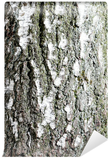 Stole (400x400), Png Download