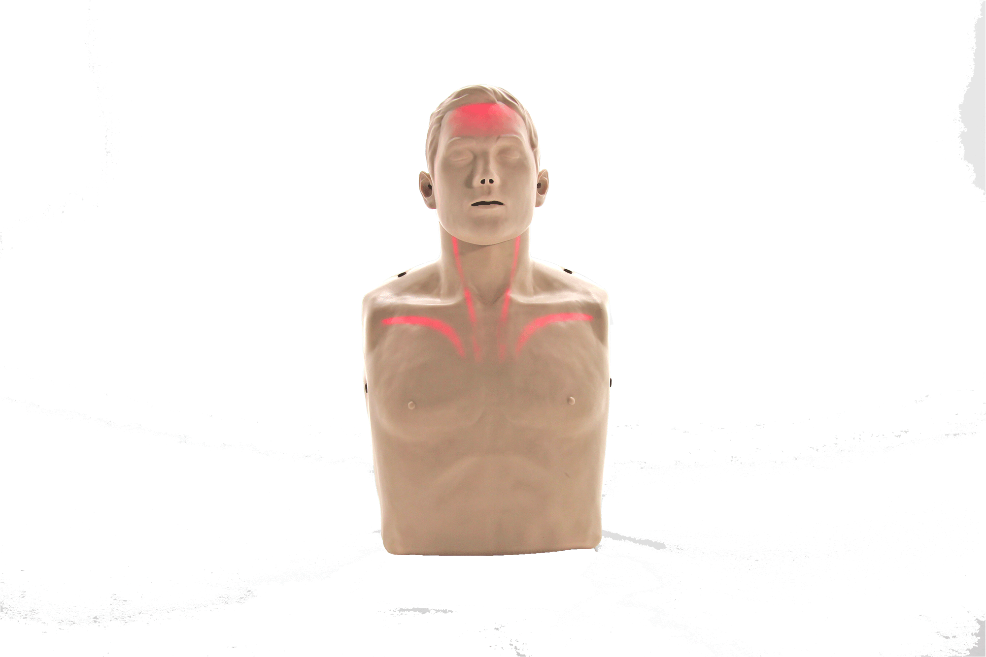Bigred™ Cpr Manikin With Led Light Cpr Feedback - Transparent Anatomical Manikin (2000x2000), Png Download