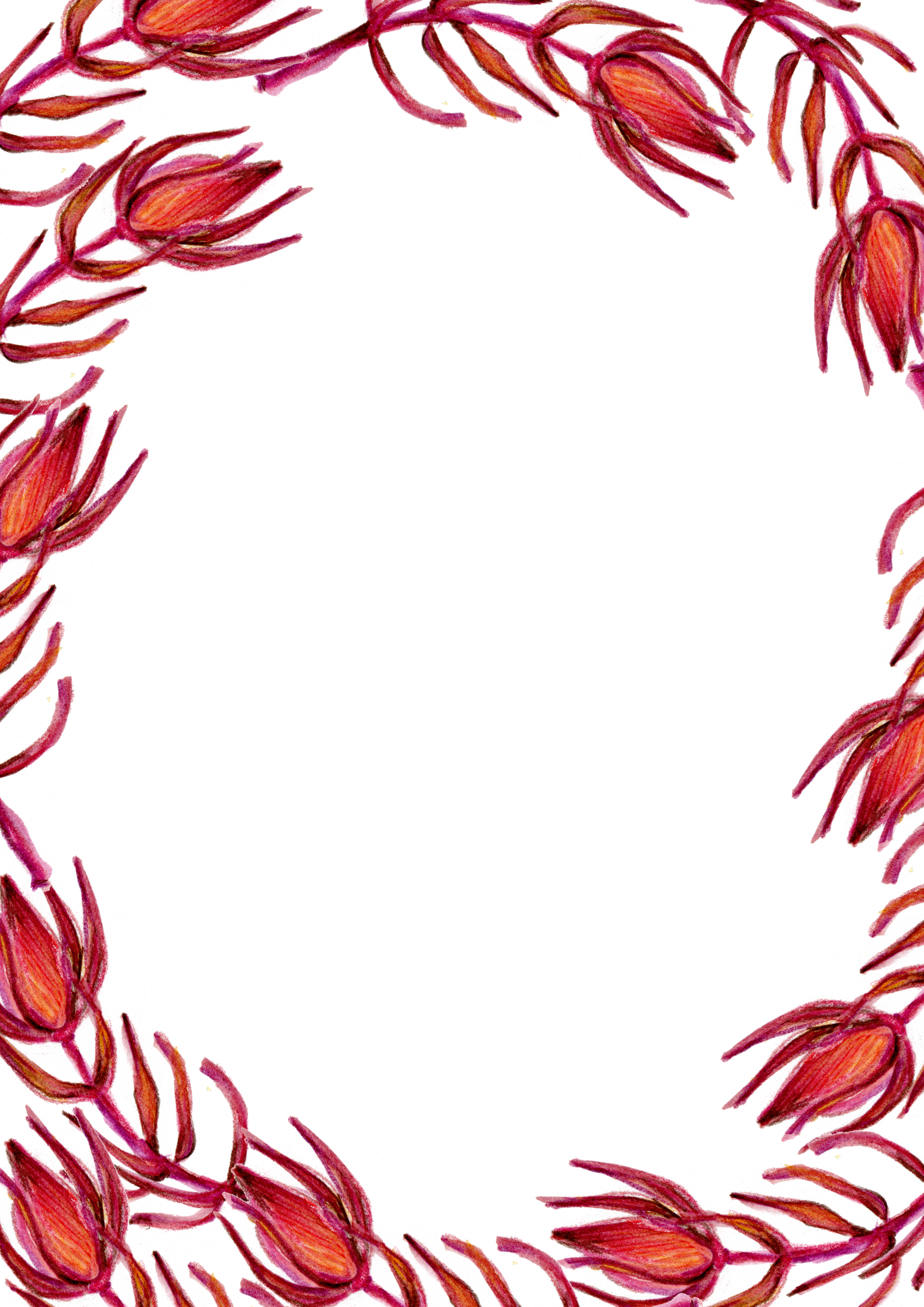 Red Flower Clip Art - Border Design Red Flower (2480x3508), Png Download