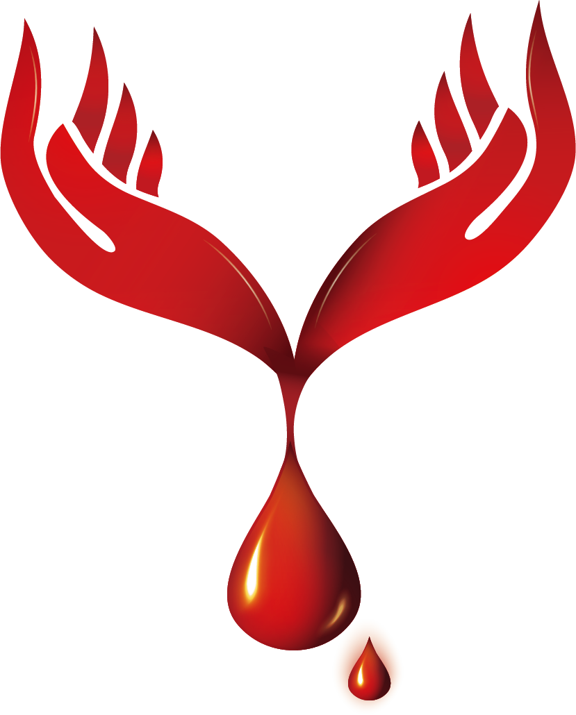Blood Donation Png Photos - Transparent Blood Donation Png (829x1030), Png Download