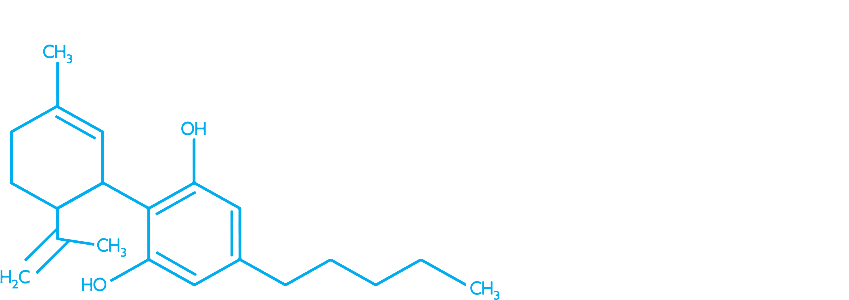 1150 Catamount Dr Golden, Co - Poster (2975x1044), Png Download