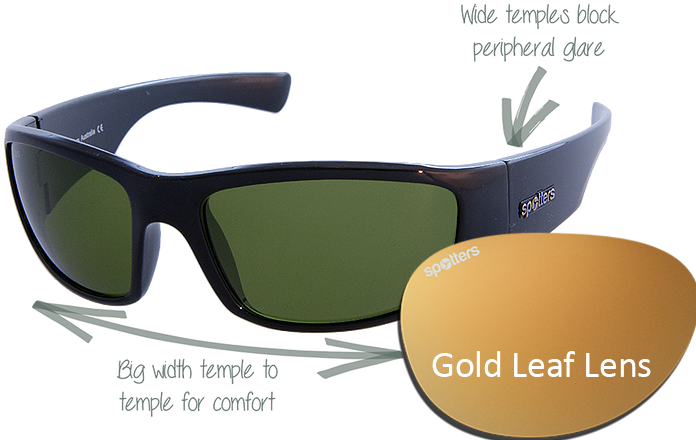 Spotters Sunglasses Coyote Gloss Black Frame With Gold - Costa Del Mar (731x731), Png Download