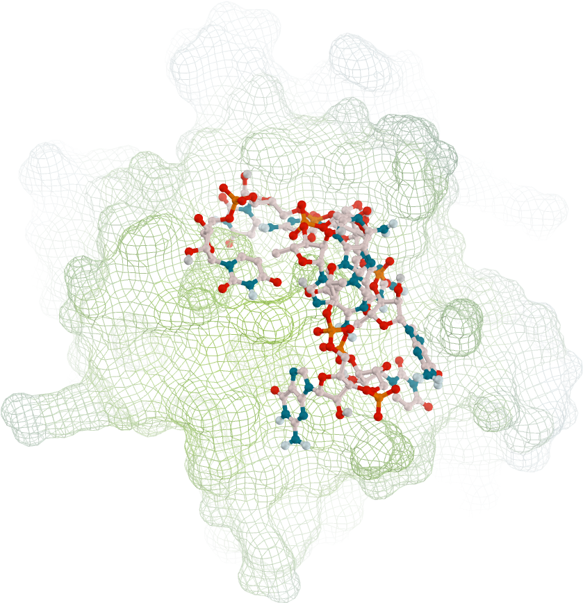 59 83m My Poster - Needlework (1700x1013), Png Download