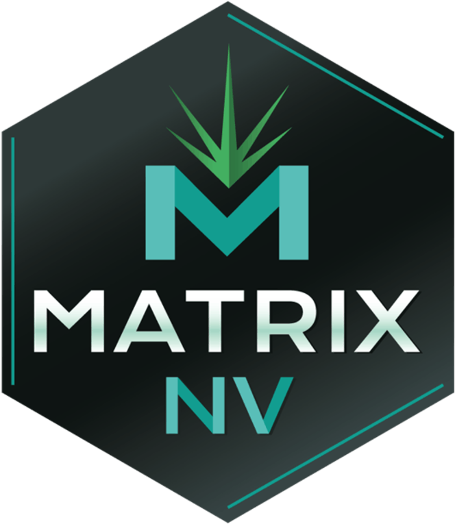 Matrix Nv (670x770), Png Download