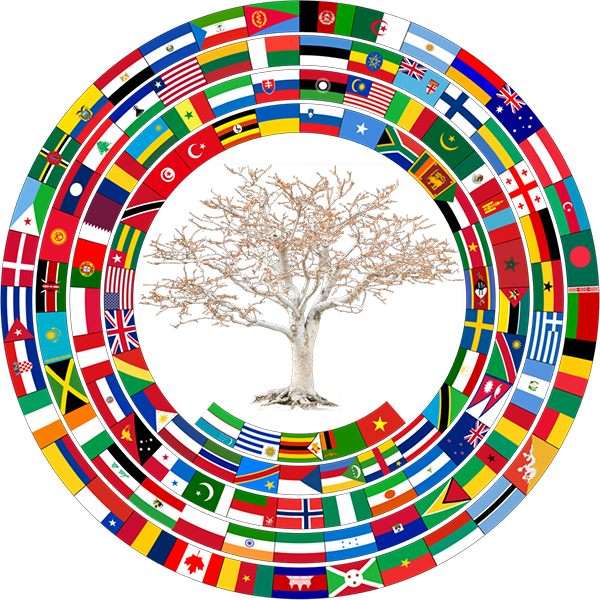 B91617 - Circle (600x600), Png Download