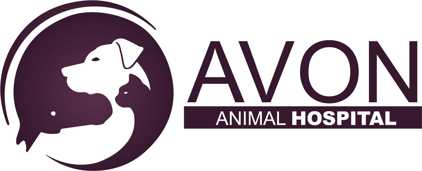 Career Opportunity - Vca Animal Hospitals (1734x871), Png Download