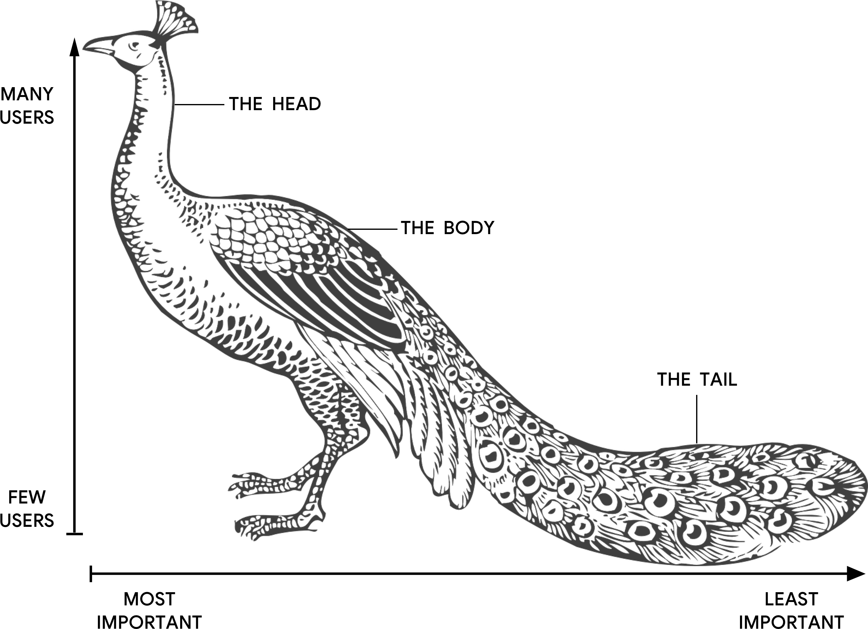 Illustration Of A Peacock With The Head, The Body, - Merak Putih Gambar Burung Merak (2878x2070), Png Download