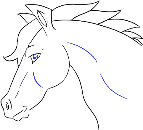 Drawn Horse Face Side - Mane (640x480), Png Download