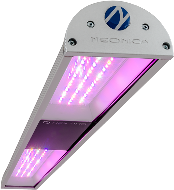Medical Marijuana Led Grow Lights - Osram Oslon Grow Light (600x650), Png Download
