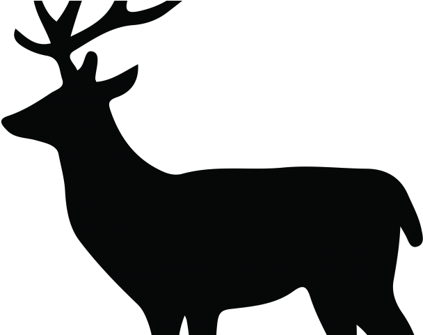 Dear Clipart Deer Silhouette - Female Deer Silhouette Png (640x480), Png Download