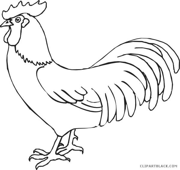 Vector Black And White Download Outline Clipartblack - Rooster Outline Drawing (600x565), Png Download