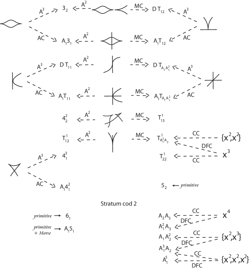 Codimension 2 Germs And Multigerms Of Maps From C 3 - Handwriting (850x920), Png Download