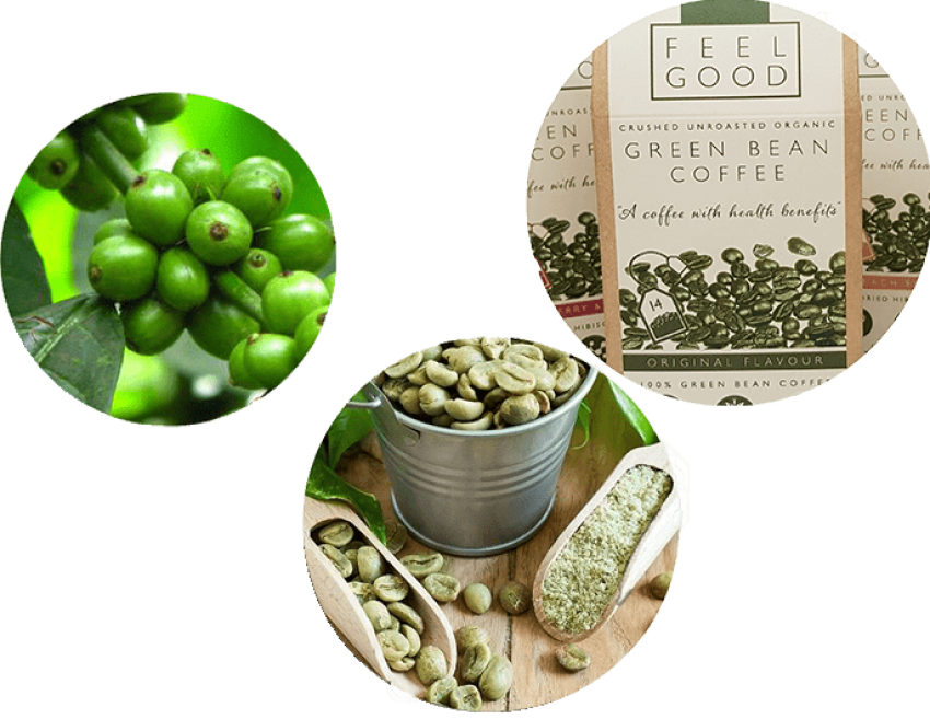Free Png Download Green Coffee Beans Banner Png Images - Coffee Beans Green Banner (850x657), Png Download