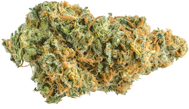 Lemon-skunk Medical Marijuana & Cannabis Dispensary - Infantry (700x558), Png Download