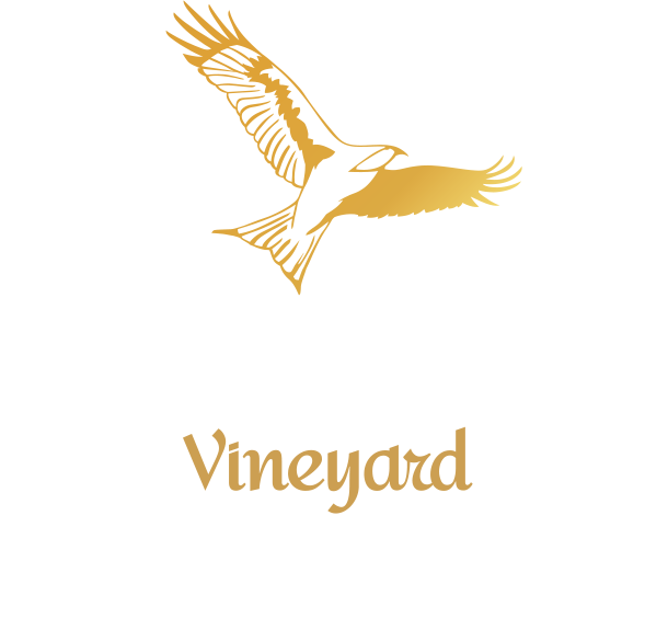 Hawk (610x575), Png Download