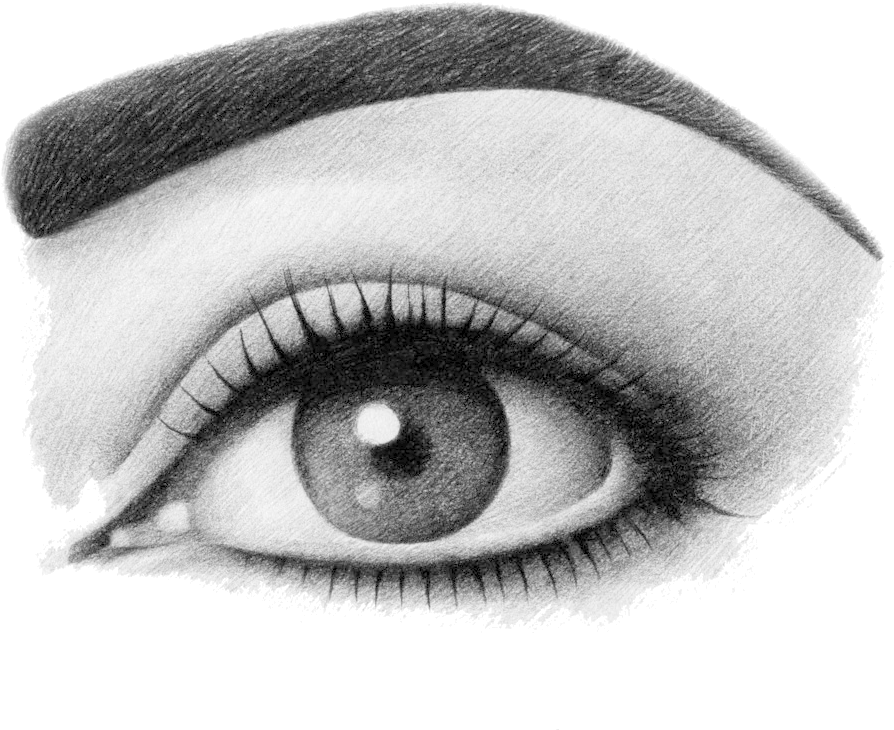 Download Threading Sketch Full Size PNG Image PNGkit