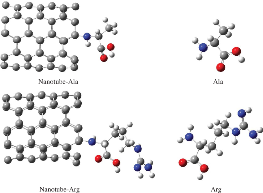Schematic Of Molecules - Circle (850x624), Png Download