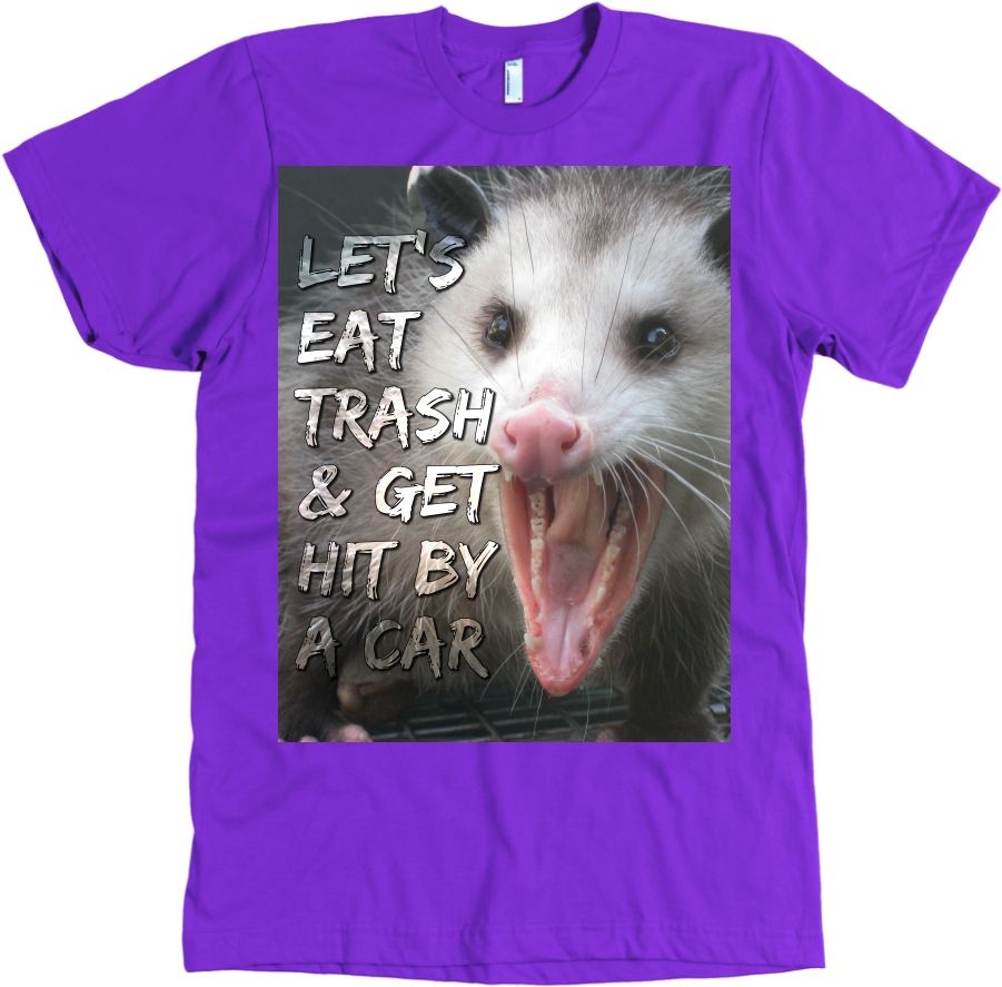Lgfuapd Opossum (1024x1024), Png Download