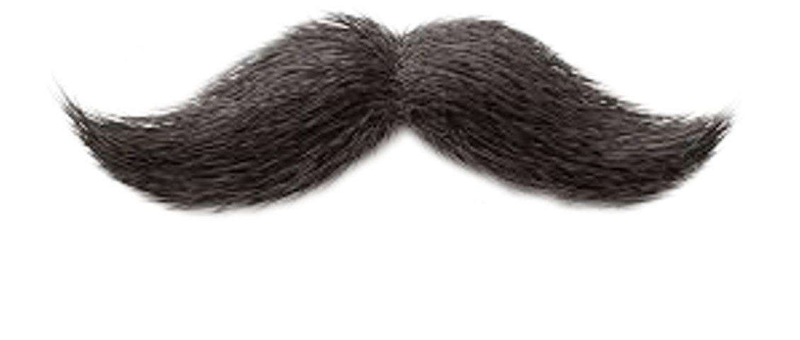 Lace Wig (1130x480), Png Download