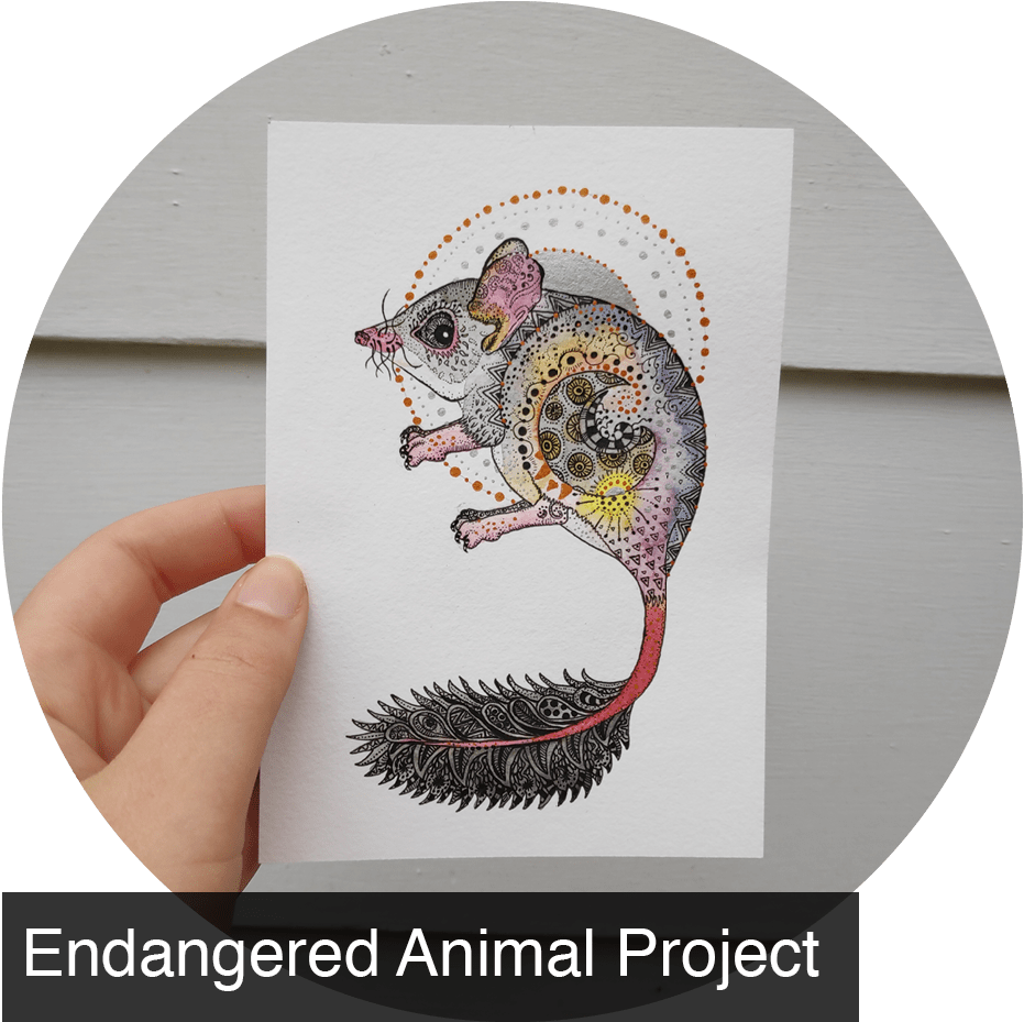 Blog - Kangaroo Rat (1000x1000), Png Download