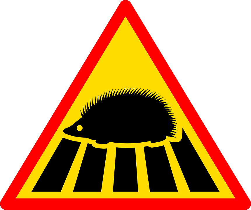 Sign, Road, Road Sign, Traffic, Road Signs, Signpost - Znak Drogowy Uwaga Jeże (860x720), Png Download