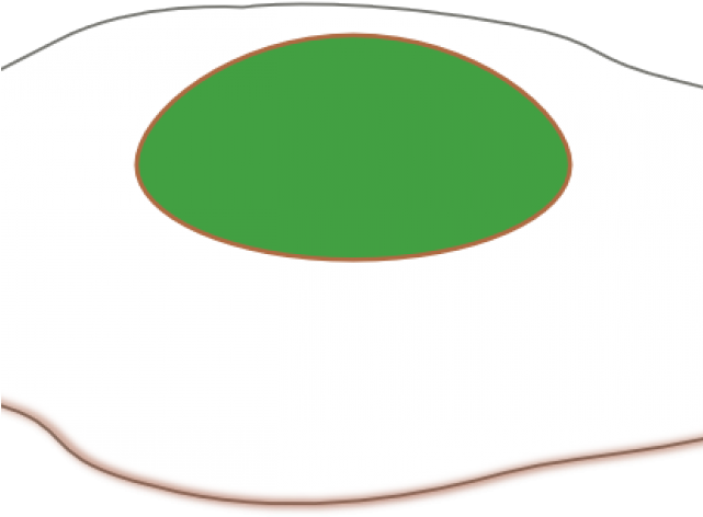 Ham Clipart Green Eggs - Circle (640x480), Png Download