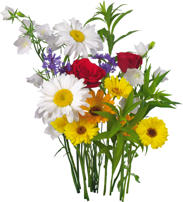 Colorful Flowers And Green Leaves Png Clipart Clipart - День Любви И Верности (725x800), Png Download