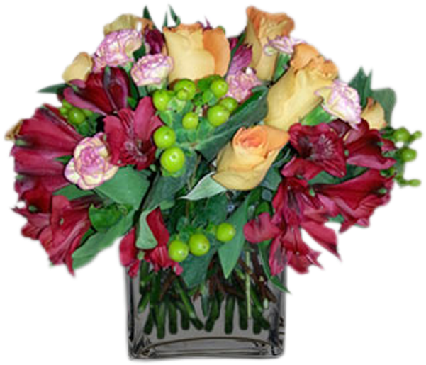 Grand Colors - Garden Roses (600x600), Png Download