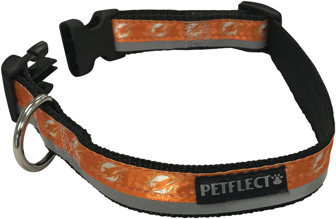 Miami Dolphins Dog Collar - Strap (1280x885), Png Download