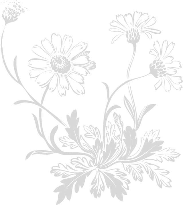 Acne Terminator Fast Action Acne Clear Treatment 1 - Barberton Daisy (776x775), Png Download