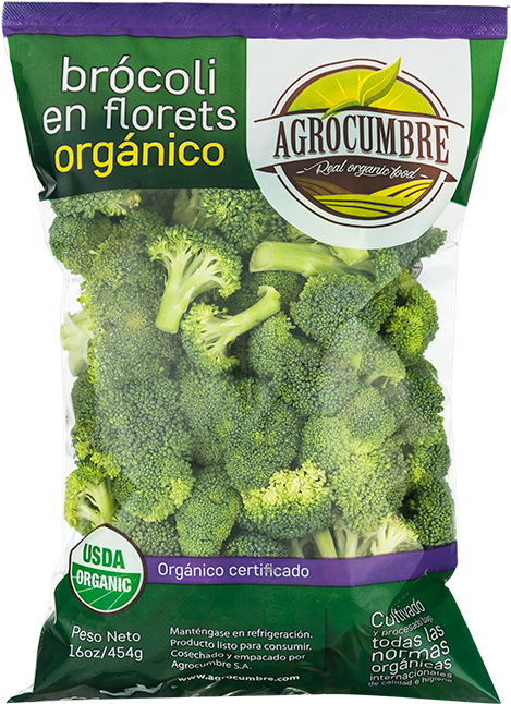 Broccoli - Moss (800x800), Png Download