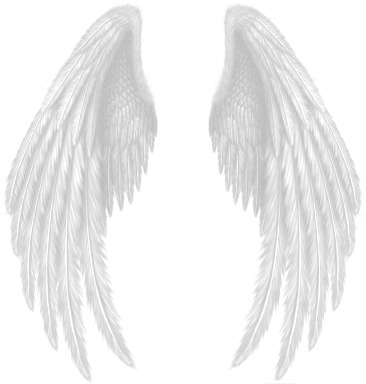 Imagem De Asas Para Picsart (1280x1280), Png Download