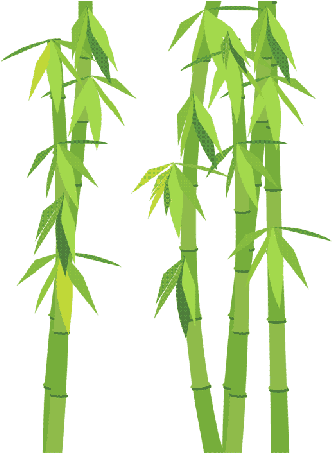 Go To Image - Bamboo (1000x900), Png Download
