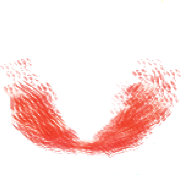 Phoenix Wings - Sketch (1200x800), Png Download
