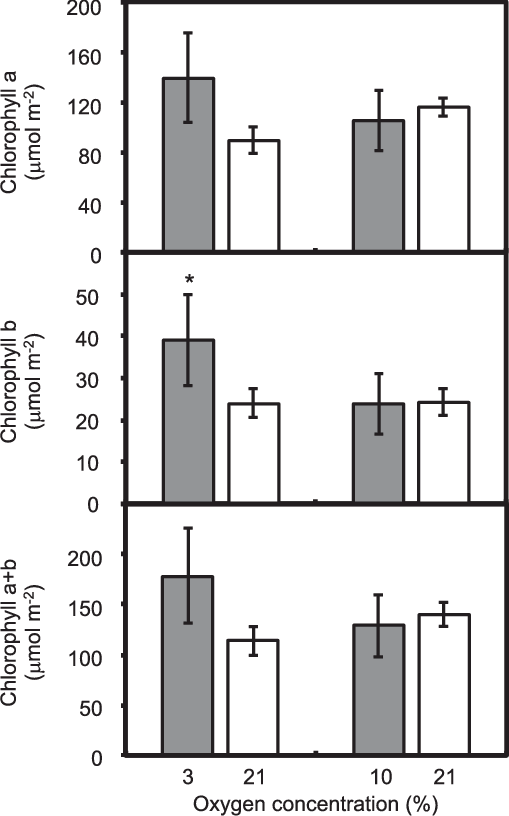 Nitrogen And Carbon Content Of Red Leaf Lettuce Grown - Diagram (509x816), Png Download