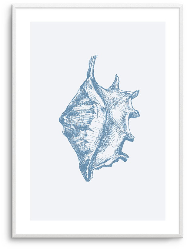 Seashell - Conch - Manta Ray (812x1023), Png Download