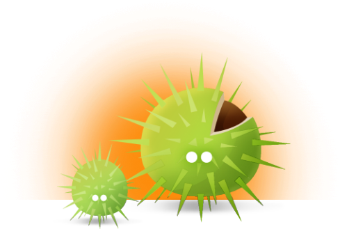 Who Is Behind Pimple - Field Marigold (1200x400), Png Download
