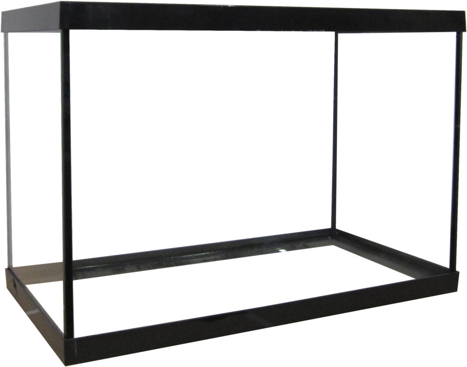 20 Gallon High Aquarium (1000x800), Png Download