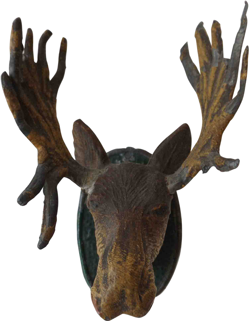 Moose Head Png - Reindeer (1023x1023), Png Download
