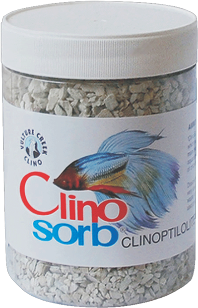 Feeder Fish (600x625), Png Download