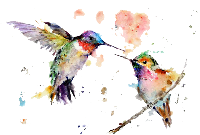 Watercolor Art Painting Drawing Hummingbird Free Transparent - Kolibri Aquarell (733x491), Png Download