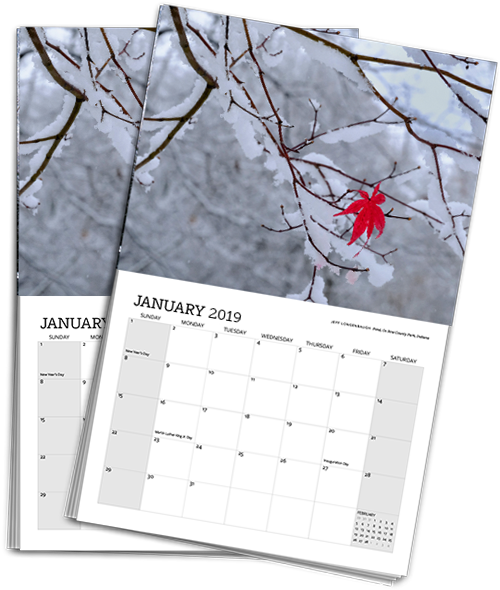 2-pack 2019 Calendar - Tree (600x600), Png Download