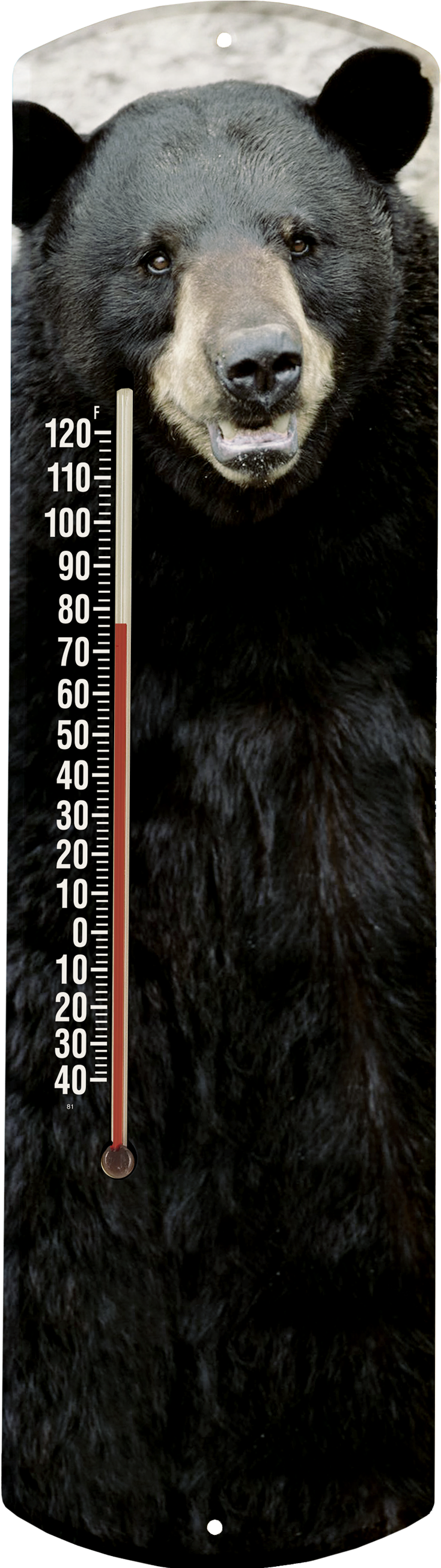 Black Bear 375hires - Grizzly Bear (1084x2607), Png Download