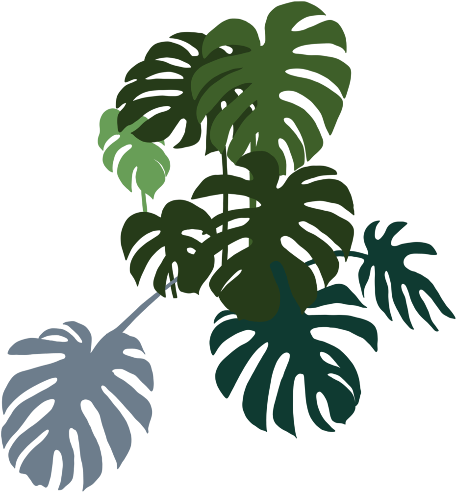 Monstera Bunch Left - Decoração Minimalista Com Plantas (1000x1049), Png Download