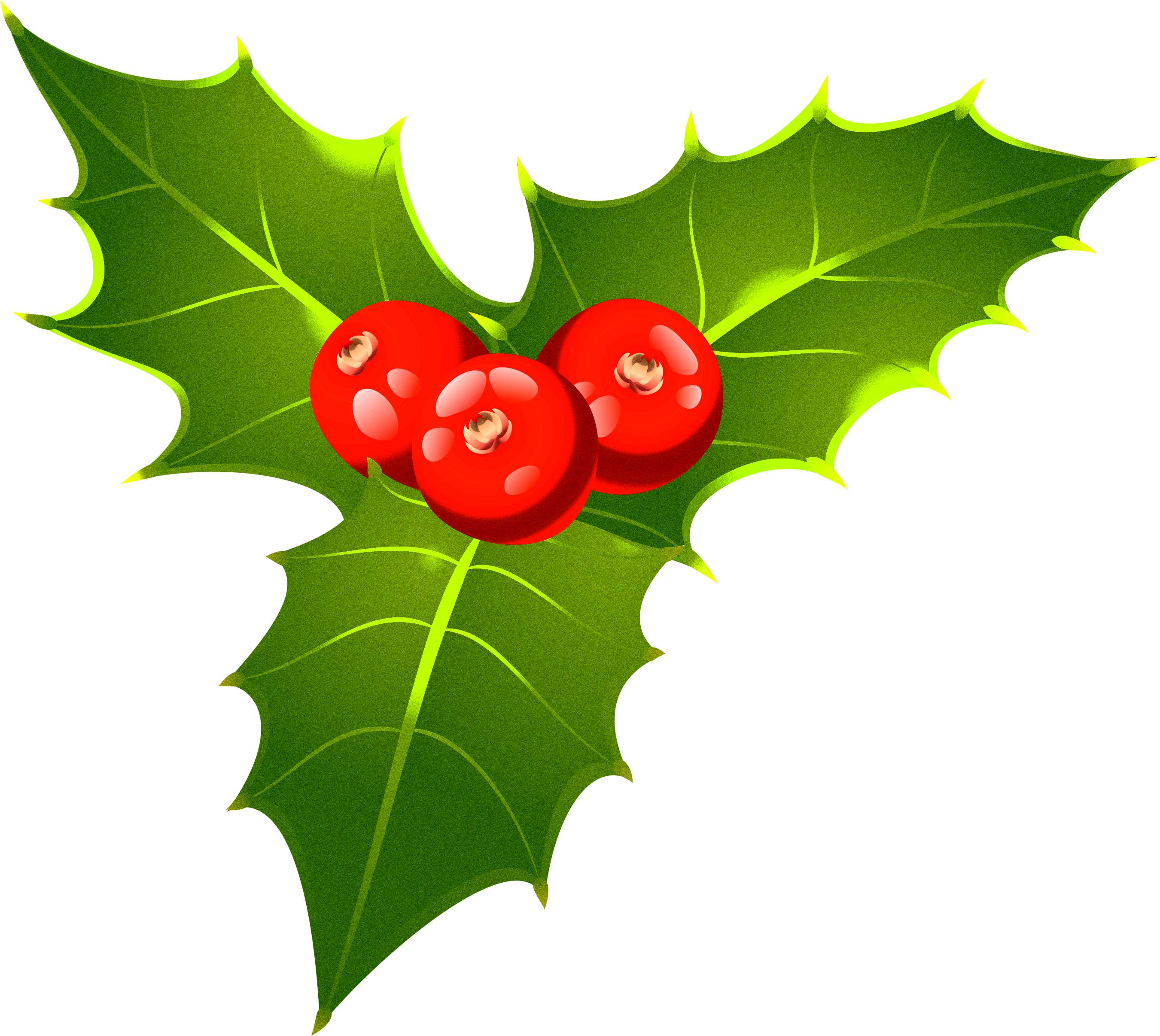Cartoon / Leaf Size (2701x2413), Png Download