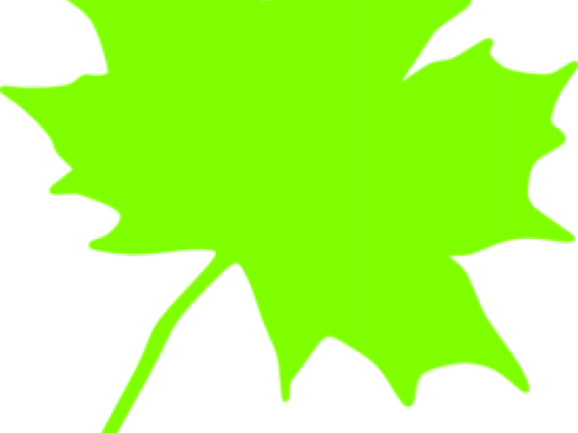 Green Leaves Clipart Cartoon - Parcc (640x480), Png Download