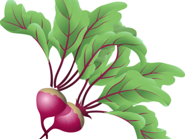 Beets Cliparts - Transparent Clip Art Vegetable (640x480), Png Download