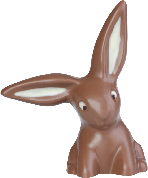 Rabbit With Hanging Ears - Domestic Rabbit (800x800), Png Download