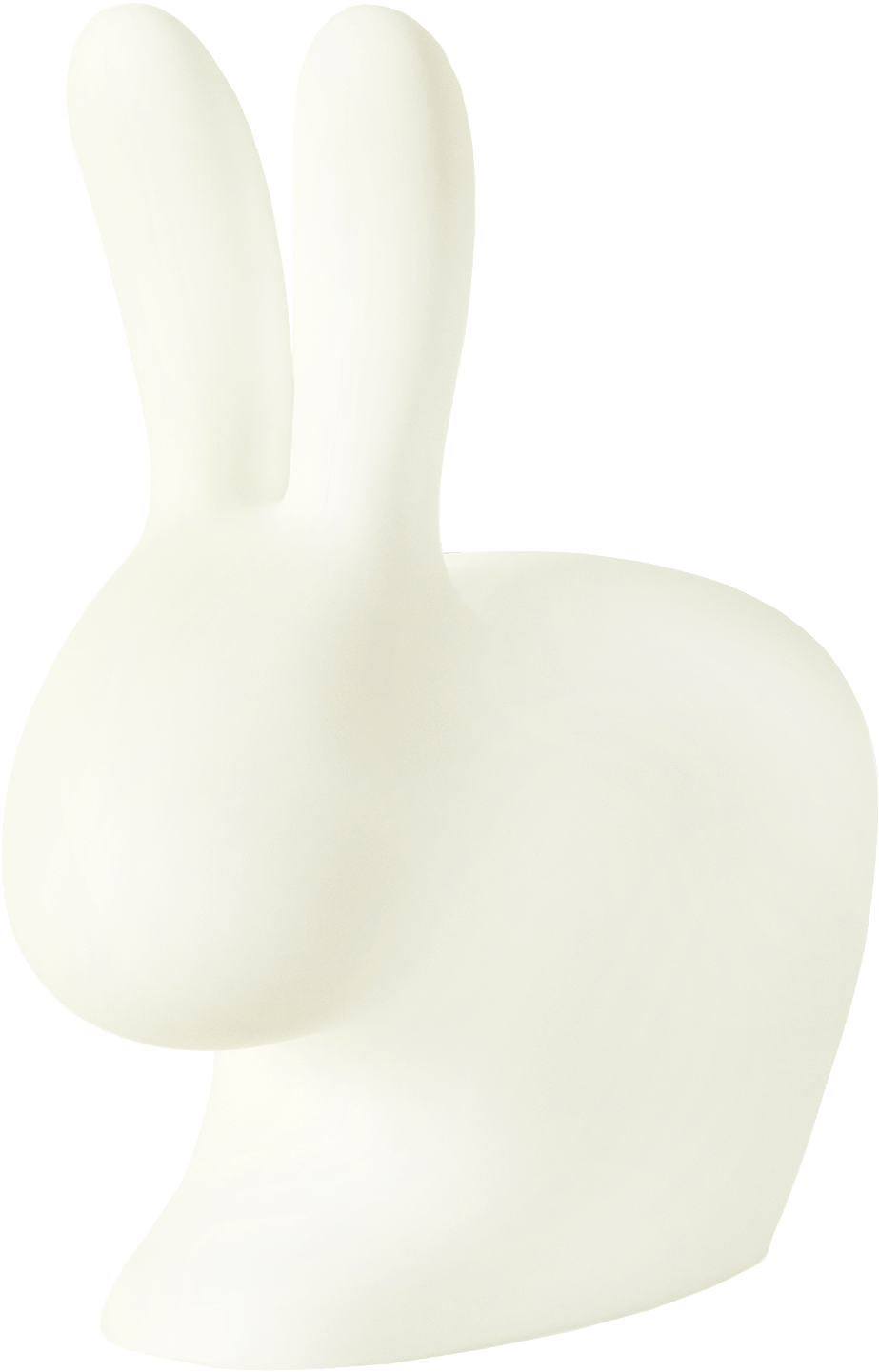 Domestic Rabbit (2048x2048), Png Download